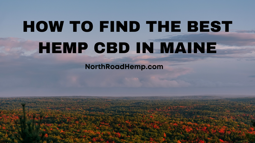 How to Find the Best Hemp CBD in Maine